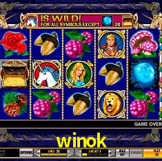 Descubra a Magia dos Jogos de Arcade no winok