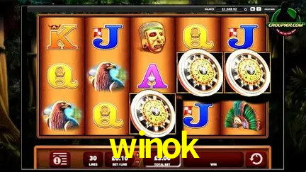 Descubra o Mundo do Cassino Online com winok